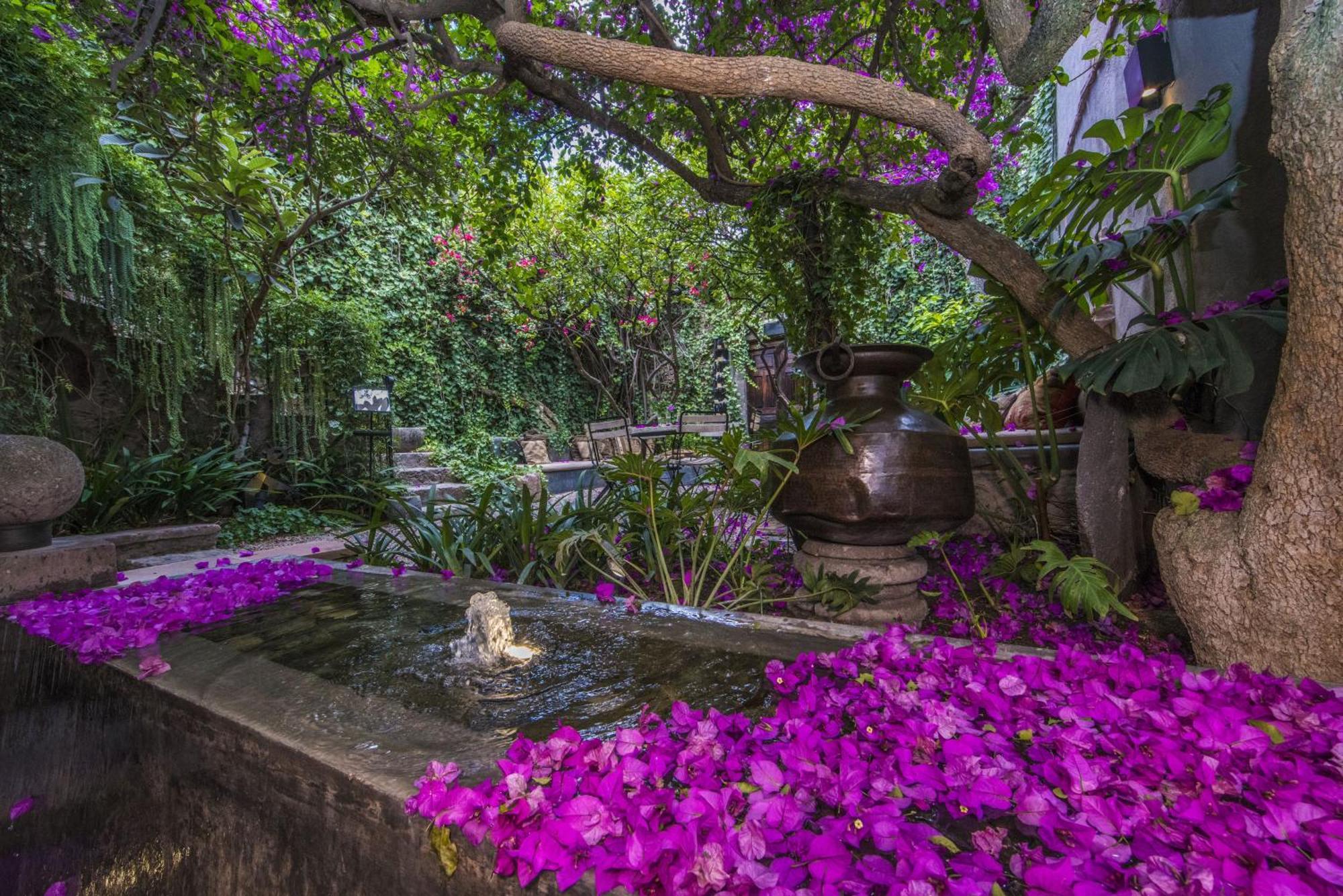 Casa No Name Small Luxury Hotel Альенде Экстерьер фото